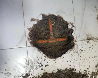 红星查漏水多少钱