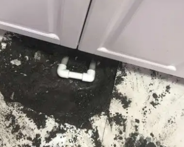 红星查漏水哪家好