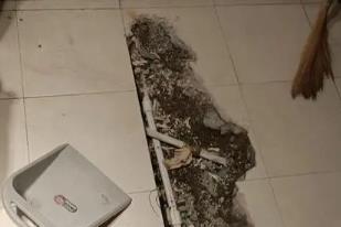 红星卫生间漏水检测电话